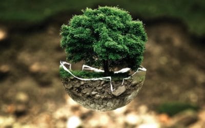 Ausblick Leasingbranche: Zwischen Digitalisierung und Nachhaltigkeit