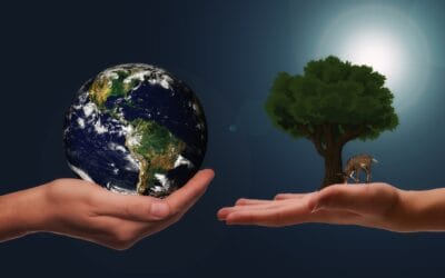 Ein grüner Sprung nach vorn: Finanzierung von Nachhaltigkeit durch das “Grüne ERP-Globaldarlehen Leasing”